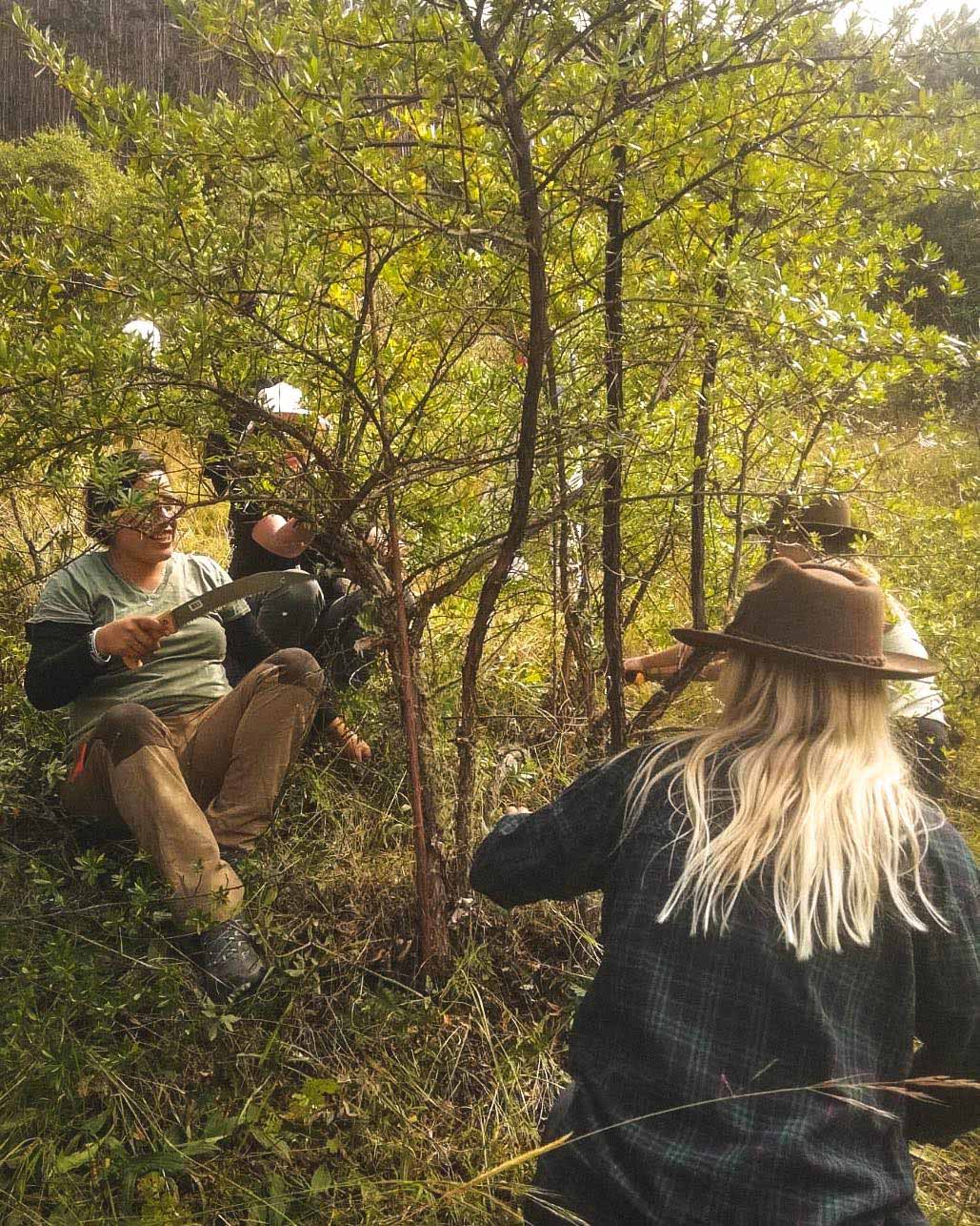 290773540_589275469523793_6371124094188866609_n